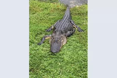 418 Cerromar Court #261, Venice, FL 34293 - Photo 71