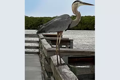 418 Cerromar Court #261, Venice, FL 34293 - Photo 65
