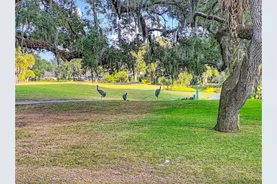 4683 Oak Hollow Drive #3, Sarasota, FL 34241 - Photo 5