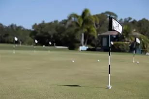 446 Pinewood Lake Dr, Venice, FL 34285 - Photo 73