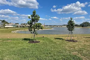 209 Ibiza Loop, Venice, FL 34292 - Photo 3