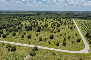 SW Hull Ave, Arcadia, FL 34269 - Photo 3