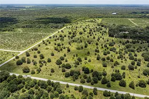 SW Hull Ave, Arcadia, FL 34269 - Photo 9