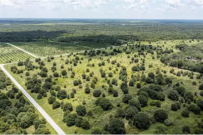 Sw Hull Avenue, Arcadia, FL 34269 - Photo 5