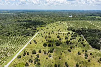 Sw Hull Avenue, Arcadia, FL 34269 - Photo 11