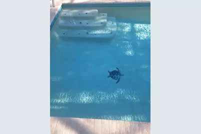 516 Serata Street, Venice, FL 34285 - Photo 35