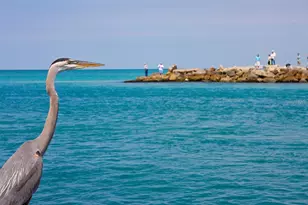 950 Tarpon Center Dr, Venice, FL 34285 - Photo 49