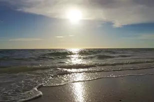 595 W Seminole Dr, Venice, FL 34293 - Photo 33