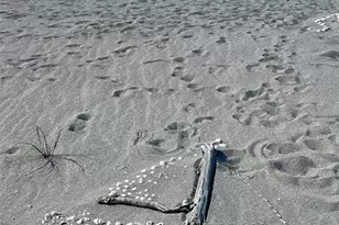 950 Tarpon Center Dr, Venice, FL 34285 - Photo 29