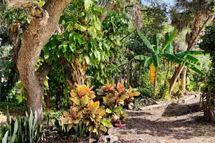 5968 Taneytown St, North Port, FL 34291 - Photo 13