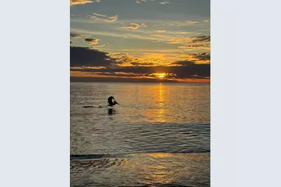 995 Laguna Drive #103, Venice, FL 34285 - Photo 65