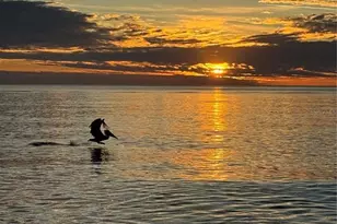 995 La Guna Dr, Venice, FL 34285 - Photo 65