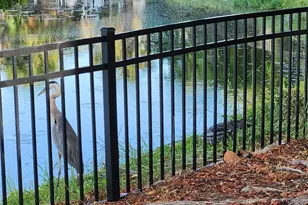 286 Shamrock Dr, Venice, FL 34293 - Photo 53