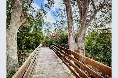 10201 Takomah Trail, Tampa, FL 33617 - Photo 3