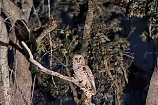 7283 SW Environmental Lab St, Arcadia, FL 34266 - Photo 37