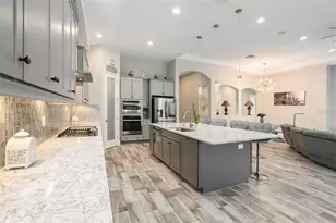 21698 Amelia Rose Way, Land O Lakes, FL 34637 - Photo 15