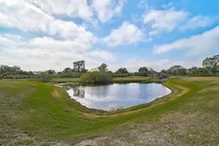 10115 Caraway Spice Ave, Riverview, FL 33578 - Photo 41