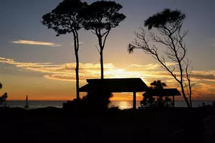 1232 Pine Needle Rd, Venice, FL 34285 - Photo 85