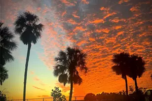 17 Lafitte Dr, Nokomis, FL 34275 - Photo 47