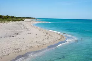 337 Cipriani Way, North Venice, FL 34275 - Photo 49