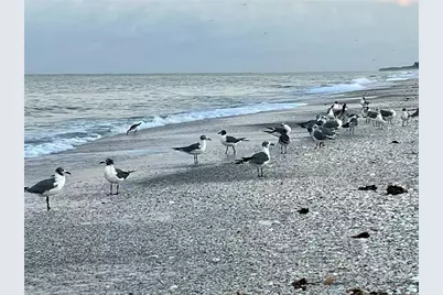 1150 Tarpon Center Drive #1-A, Venice, FL 34285 - Photo 73