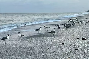 1150 Tarpon Center Dr, Venice, FL 34285 - Photo 73