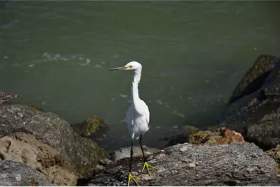 1833 Lancashire Drive, Venice, FL 34293 - Photo 73