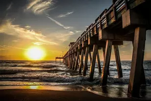 340 3 Lakes Ln, Venice, FL 34285 - Photo 21