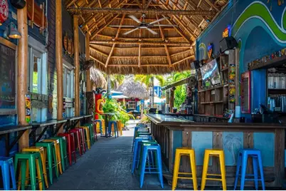 355 Calle Miramar, Sarasota, FL 34242 - Photo 67