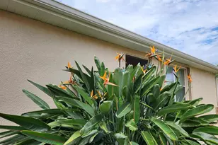 4248 Lenox Blvd, Venice, FL 34293 - Photo 49