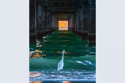 402 Circlewood Drive #H2-4, Venice, FL 34293 - Photo 65