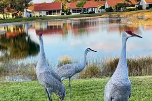 4925 Pepperwood Pl, Venice, FL 34293 - Photo 39