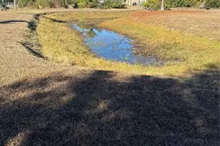 29310 Bryan Way, Punta Gorda, FL 33982 - Photo 27