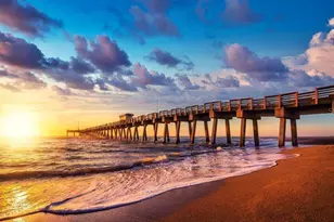 627 Alhambra Rd, Venice, FL 34285 - Photo 77