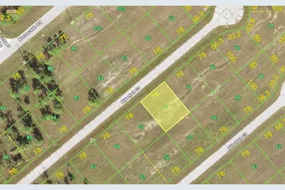 14253 Bluefish Court, Placida, FL 33946 - Photo 1