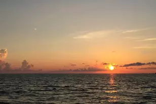 4024 Landor Ct, Venice, FL 34293 - Photo 39