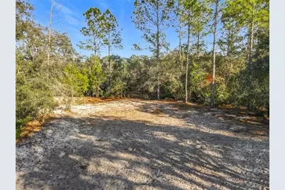 43430 Cooter Pond Road, Deland, FL 32720 - Photo 31