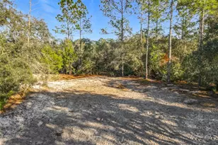 43430 Cooter Pond Rd, Deland, FL 32720 - Photo 31