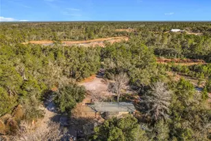 43430 Cooter Pond Rd, Deland, FL 32720 - Photo 23