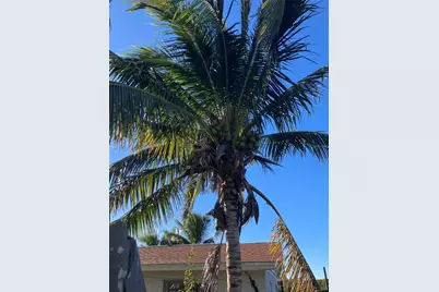 517 Ravenna Street N, Nokomis, FL 34275 - Photo 43