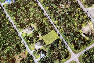 1391 Hammacher Ln, Port Charlotte, FL 33953 - Photo 1