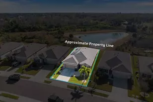 4123 Mossy Limb Ct, Palmetto, FL 34221 - Photo 39