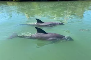 949 Suncrest Ln, Englewood, FL 34223 - Photo 69