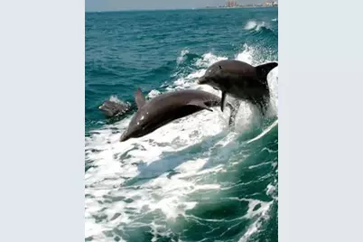 949 Suncrest Lane, Englewood, FL 34223 - Photo 67