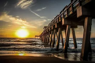 300 Stone Briar Creek Dr, Venice, FL 34292 - Photo 65