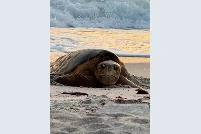 1627 Del Monte Court, Venice, FL 34293 - Photo 73