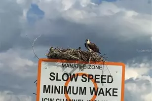 1627 Del Monte Ct, Venice, FL 34293 - Photo 67