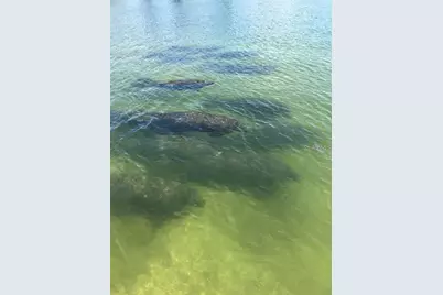 1627 Del Monte Court, Venice, FL 34293 - Photo 69