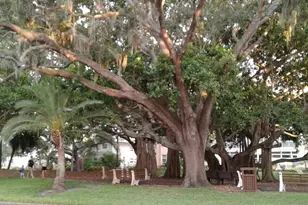 2331 Mission Valley Blvd, Nokomis, FL 34275 - Photo 59