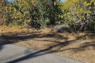 553 Hoffer St, Port Charlotte, FL 33953 - Photo 7